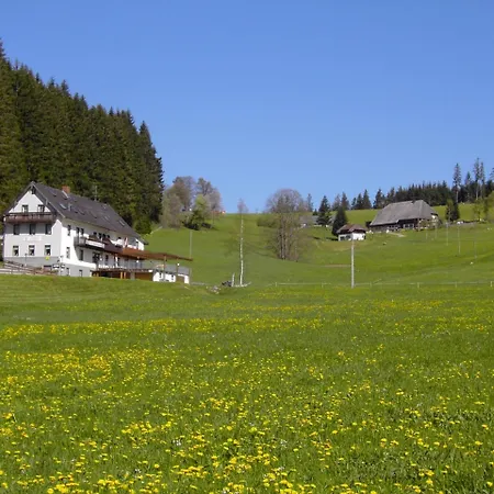 Gasthaus Pension Donishaeusle-2